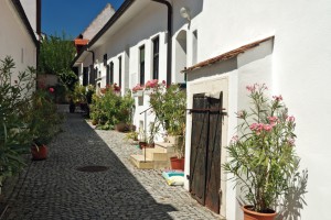 Gasse_Oleander
