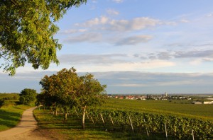 radwanderweg